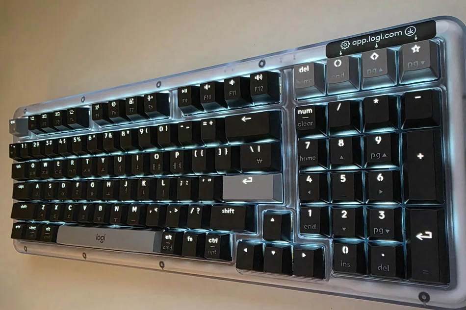 로지텍 K98M 백라이트 각도 뷰