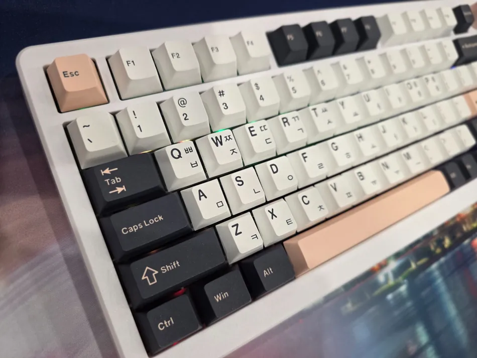 Qsenn Q75 PBT 키보드 왼쪽 상단부, 핑크색 Esc 키와 네이비색 Caps Lock, Tab 키가 보이는 장면